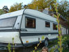 DSCF0239.jpg